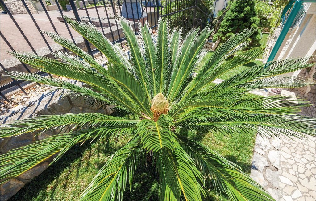 Lejlighed - Crikvenica-Dramalj , Kroatien - CKC645 15