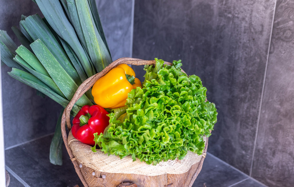 Feriehus - Crikvenica-Tribalj , Kroatia - CKC082 14