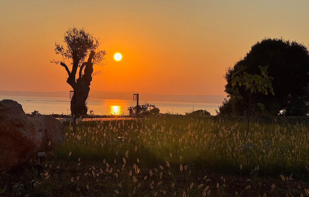 Feriehuse - Pag - Lun , Kroatien - CKD152 26