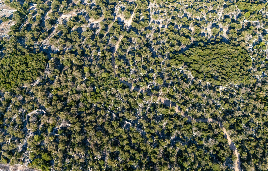 Feriehuse - Pag - Lun , Kroatien - CKD152 21