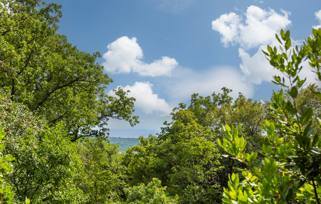 Lejlighed - Krk-Omisalj , Kroatien - CKI006 3