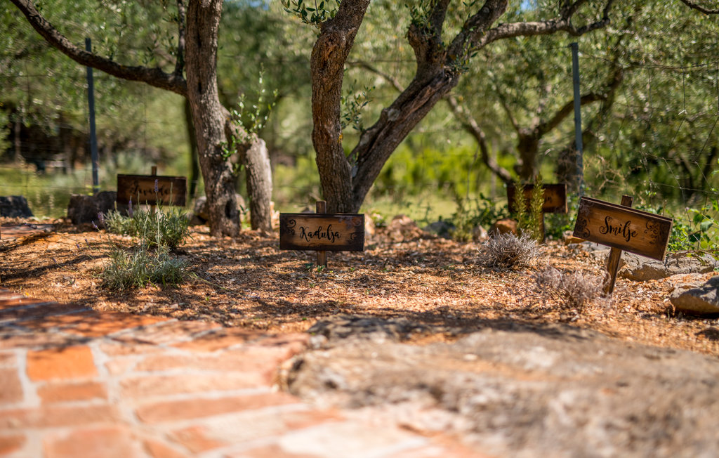 Feriehuse - Krk-Punat , Kroatien - CKI108 38