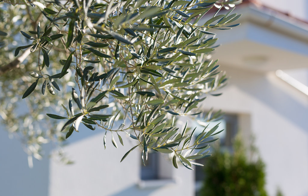 Feriehuse - Krk-Krk , Kroatien - CKK623 33