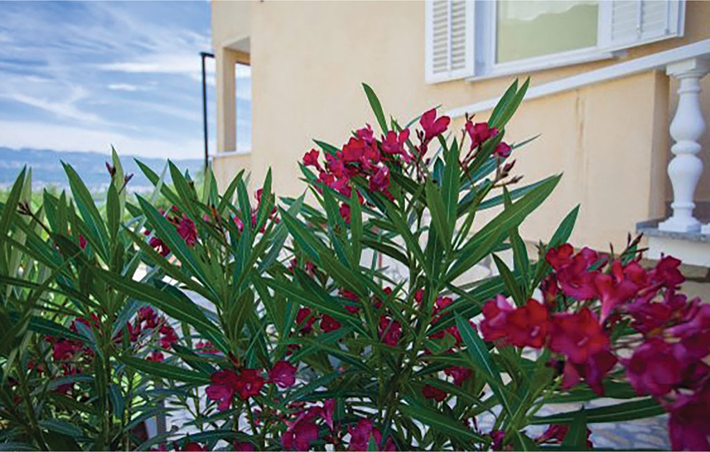 Ferieleilighet - Krk-Cizici , Kroatia - CKK322 8