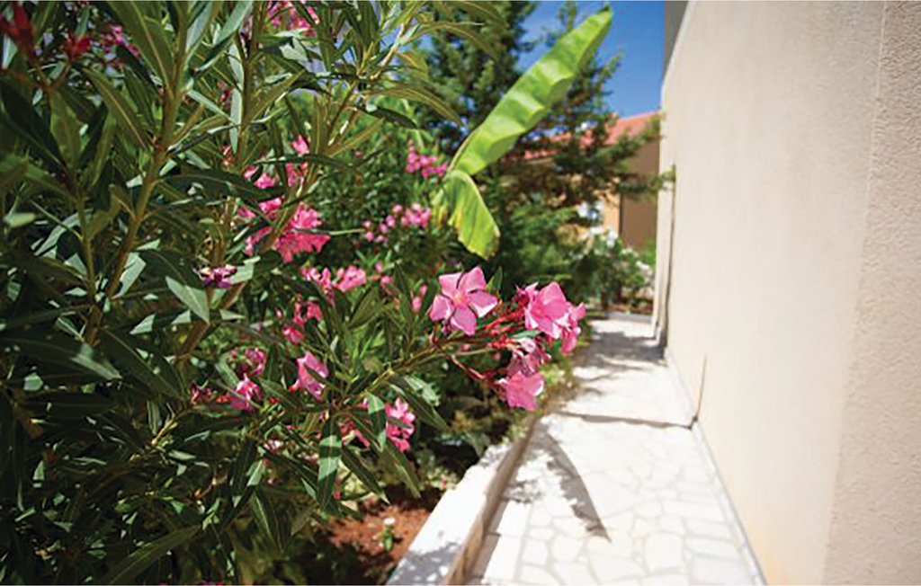 Ferieleilighet - Krk-Cizici , Kroatia - CKK322 9