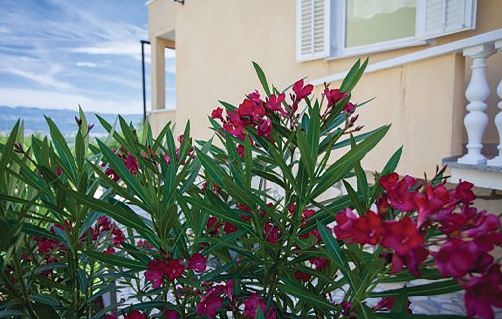 Ferieleilighet - Krk-Cizici , Kroatia - CKK321 10