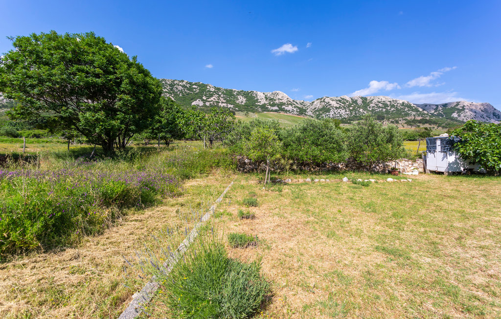 Ferieleilighet - Krk-Draga Bascanska , Kroatia - CKK786 8