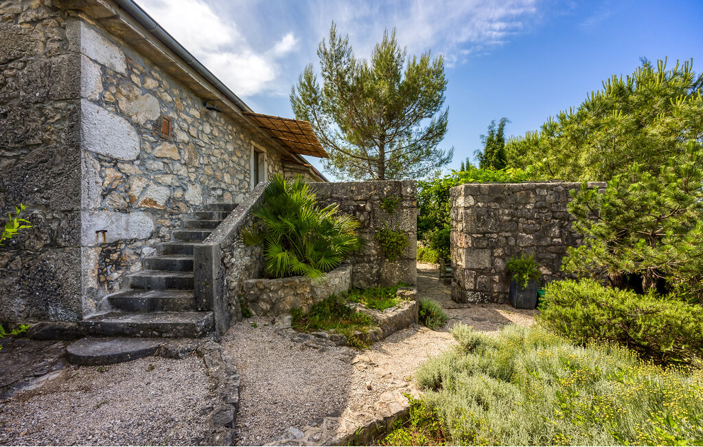 Feriehus - Krk-Bajcici , Kroatia - CKK414 17