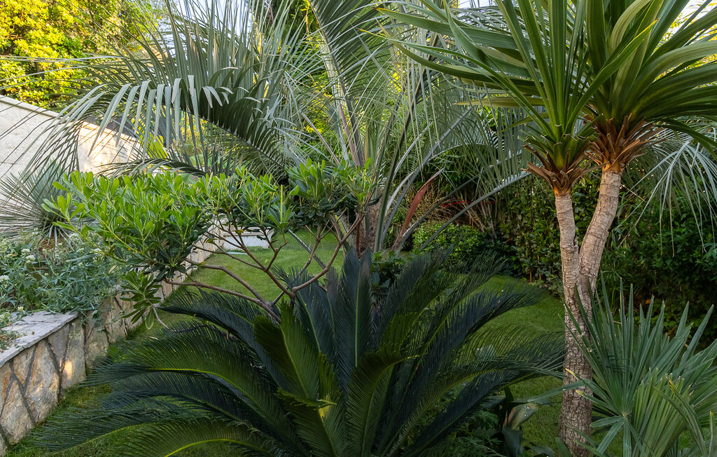 Feriehus - Krk-Njivice , Kroatia - CKK758 22