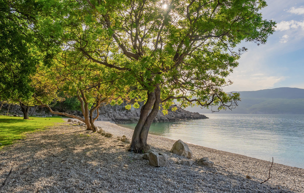 Ferienhaus - Cres-Porozina , Kroatien - CKL204 9