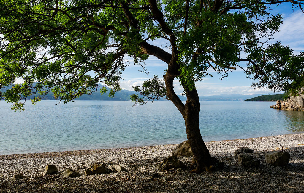 Ferienhaus - Cres-Porozina , Kroatien - CKL204 31