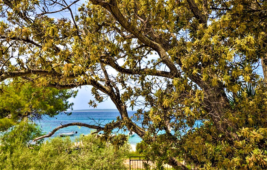 Semesterlägenhet - Cres-Stivan , Kroatien - CKL224 40