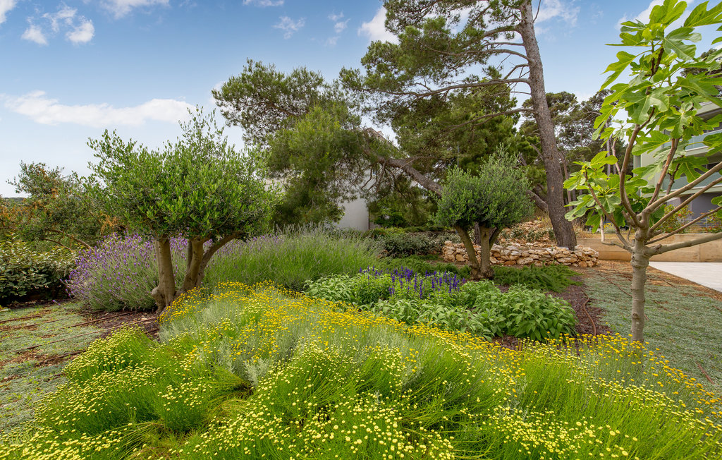 Ferienwohnung - Losinj-Mali Losinj , Kroatien - CKL297 14