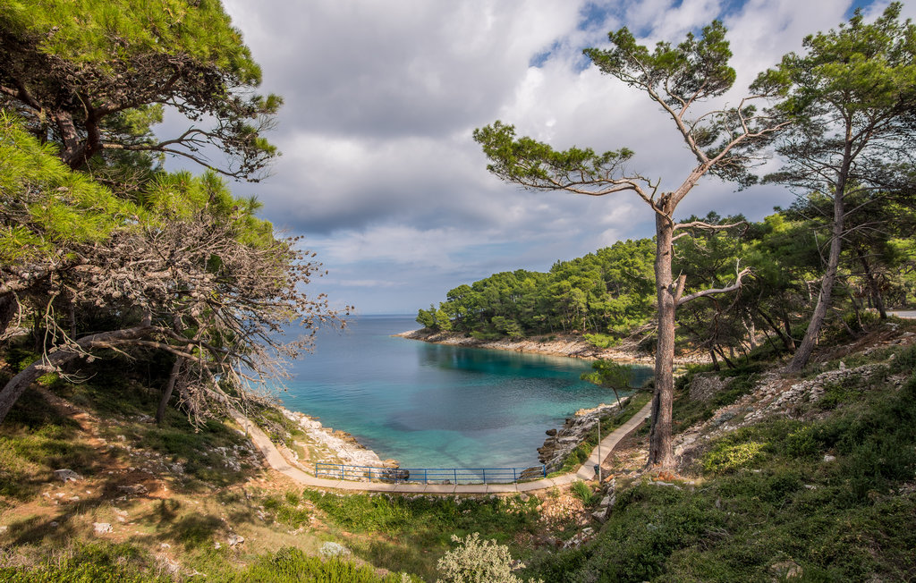 Semesterhus - Cres-Martinscica , Kroatien - CKL173 25