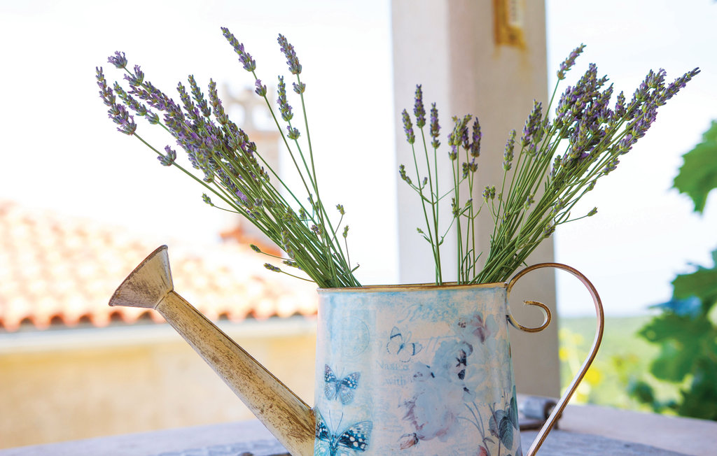 Semesterhus - Cres-Vidovici , Kroatien - CKL143 18