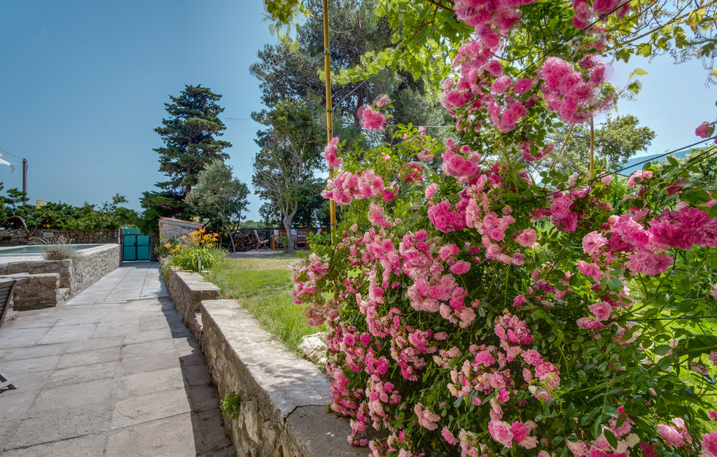 Ferienhaus - Cres-Osor , Kroatien - CKL255 24