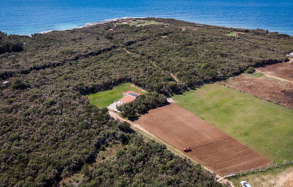 Domy wakacyjne - Losinj-Cunski , Chorwacja - CKL319 8