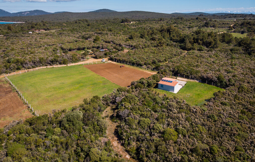 Domy wakacyjne - Losinj-Cunski , Chorwacja - CKL319 9