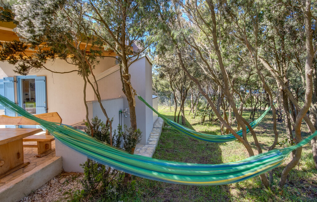 Domy wakacyjne - Losinj-Cunski , Chorwacja - CKL319 14