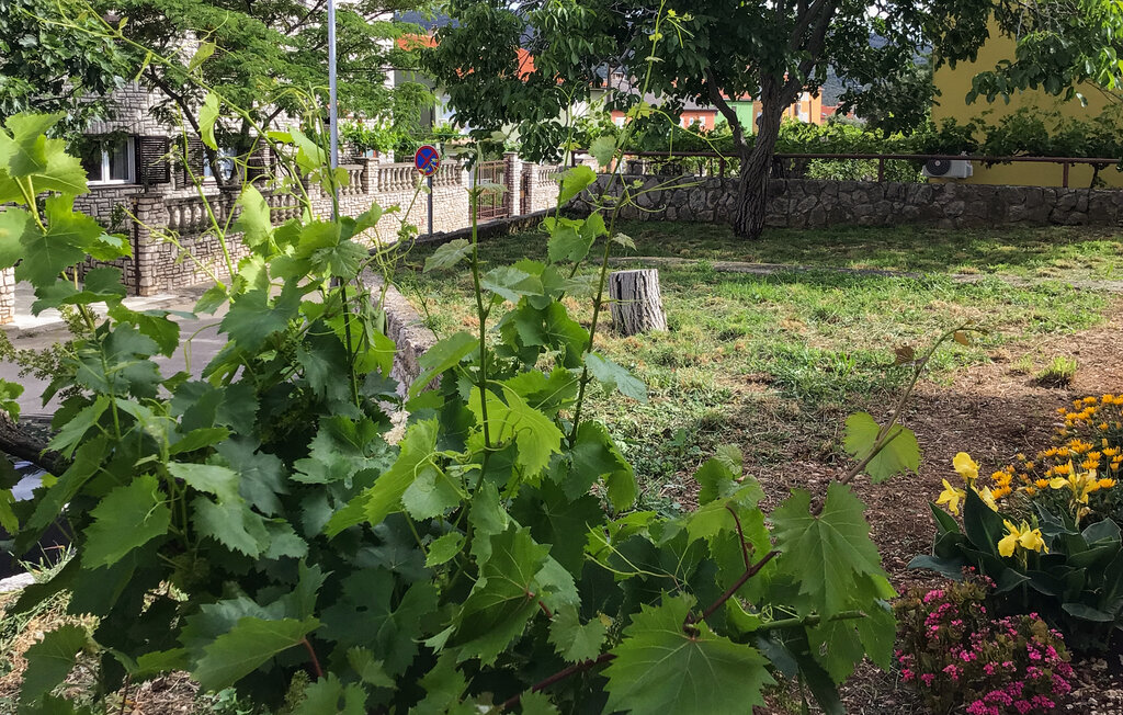 Semesterlägenhet - Cres , Kroatien - CKL293 12