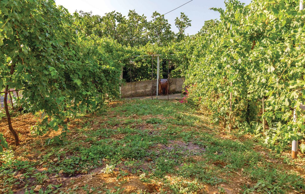 Lejlighed - Novi Vinodolski-Bribir , Kroatien - CKN487 10