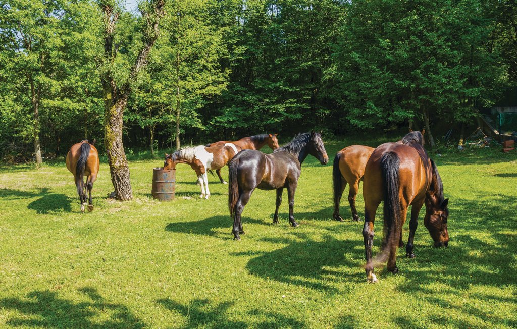 Semesterhus - Opatija-Moscenicka Draga , Kroatien - CKO300 37