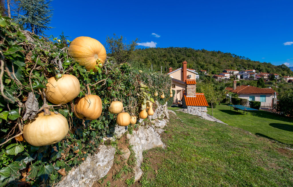 Feriehuse - Opatija-Rukavac , Kroatien - CKO138 23