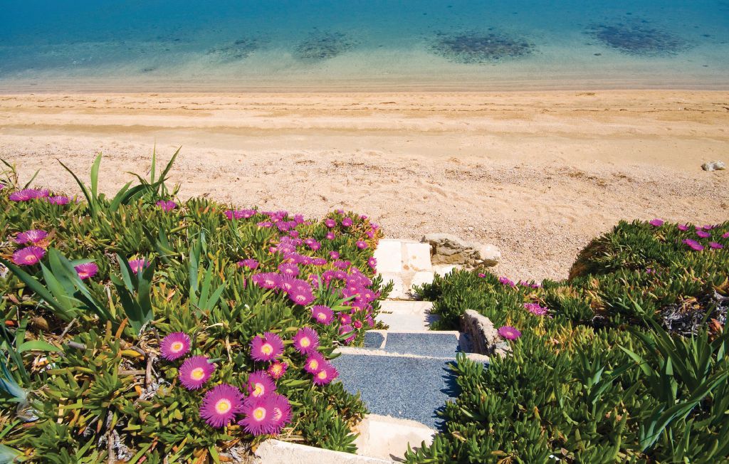 Ferienhaus - Pag-Vlasici , Kroatien - CKP381 27