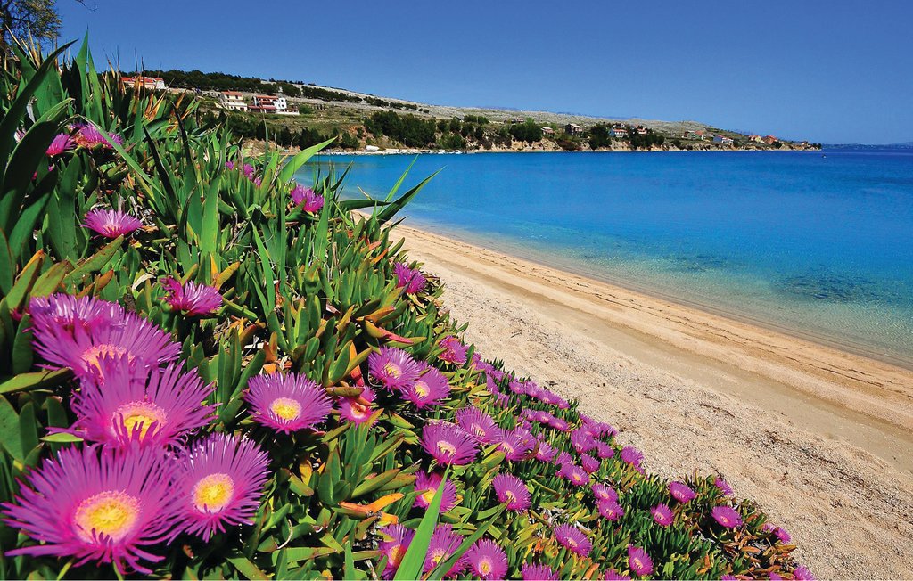 Ferienhaus - Pag-Vlasici , Kroatien - CKP381 22