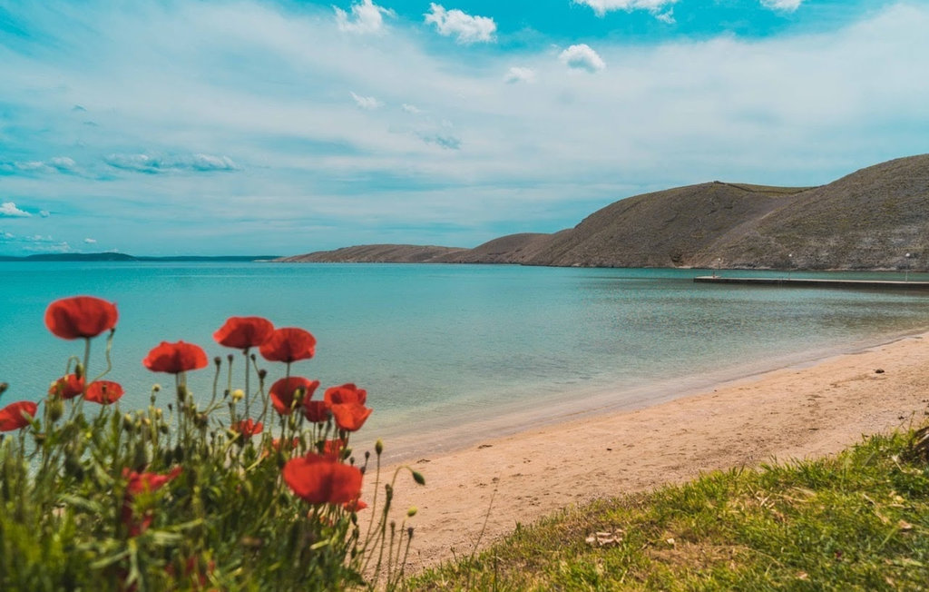 Ferienhaus - Pag-Vlasici , Kroatien - CKP381 14