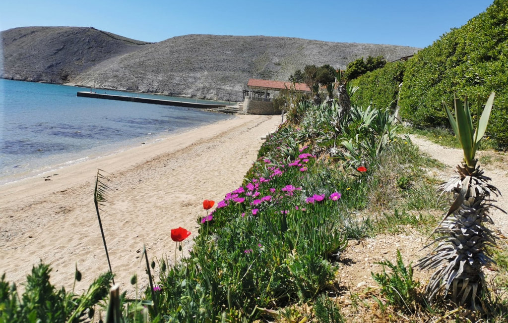 Ferienhaus - Pag-Vlasici , Kroatien - CKP381 10