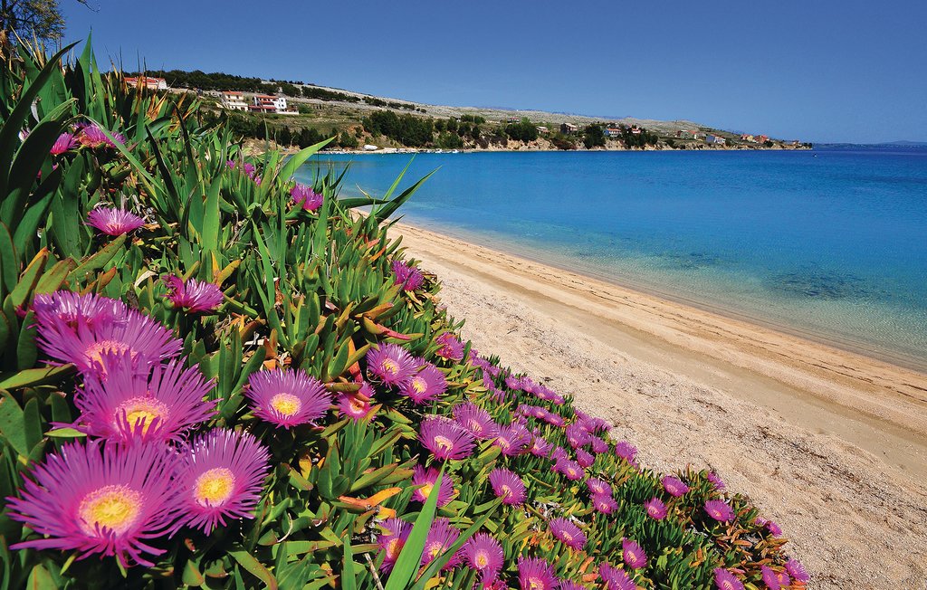 Ferieleilighet - Pag , Kroatia - CKP009 27