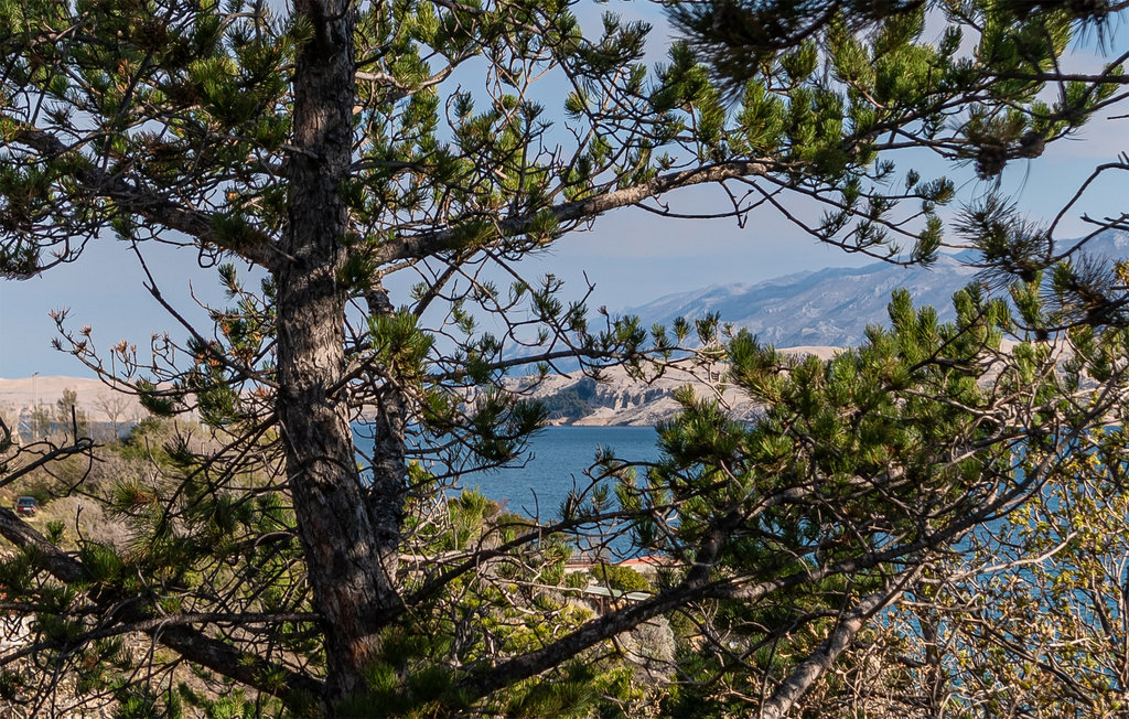 Lejlighed - Pag-Bosane , Kroatien - CKP019 20