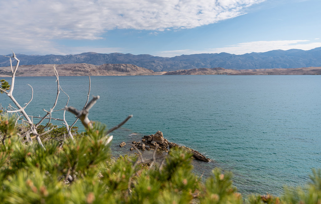 Lejlighed - Pag-Bosana , Kroatien - CKP022 6