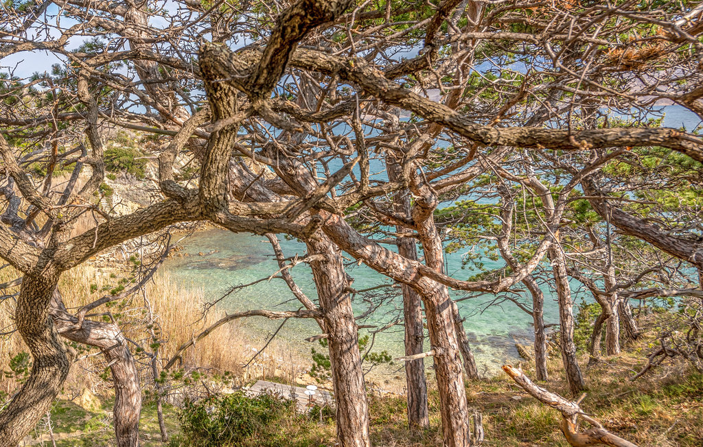 Lejlighed - Pag-Bosana , Kroatien - CKP023 6