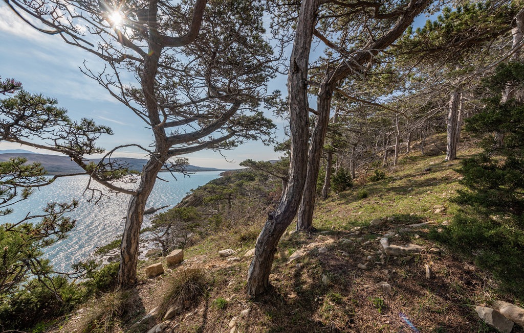 Lejlighed - Pag-Bosana , Kroatien - CKP022 7