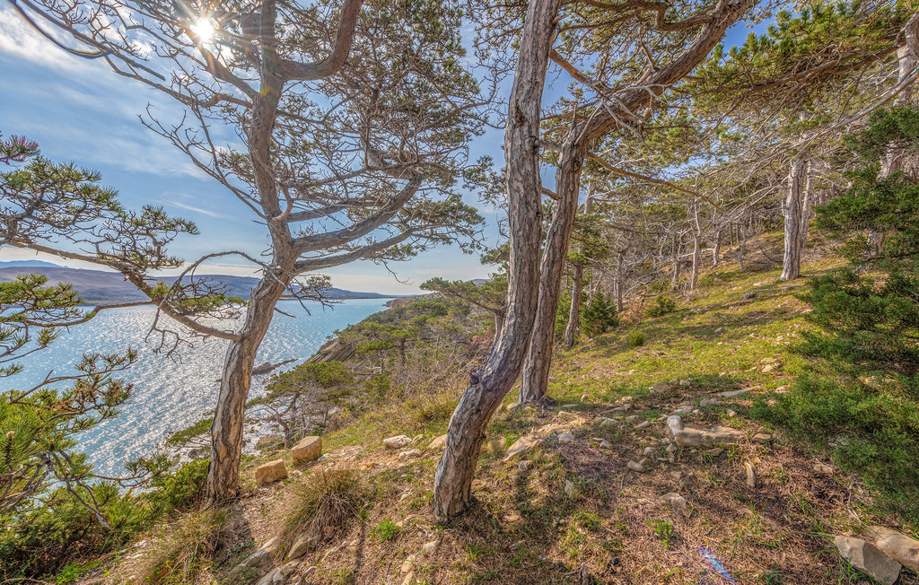 Lejlighed - Pag-Bosana , Kroatien - CKP023 7