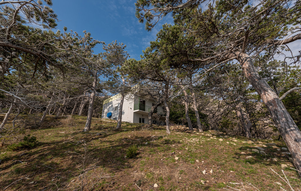 Lejlighed - Pag-Bosane , Kroatien - CKP019 10