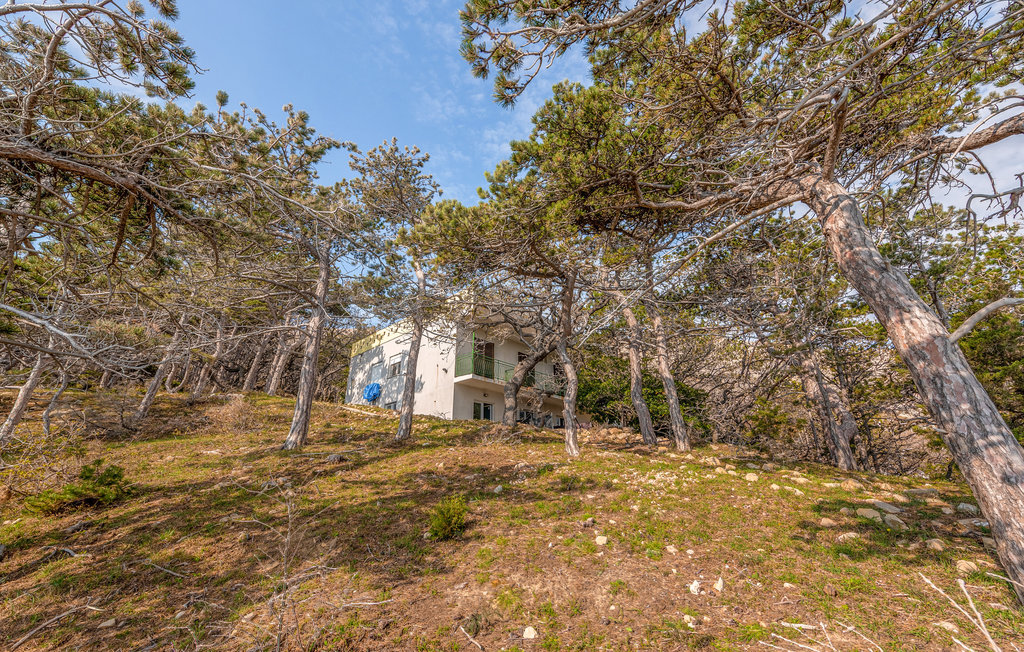 Lejlighed - Pag-Bosana , Kroatien - CKP023 8