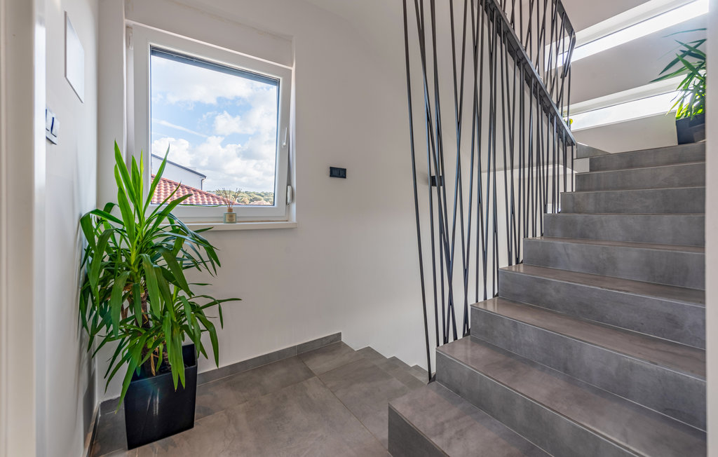 Feriehuse - Pag - Mandre , Kroatien - CKP075 22