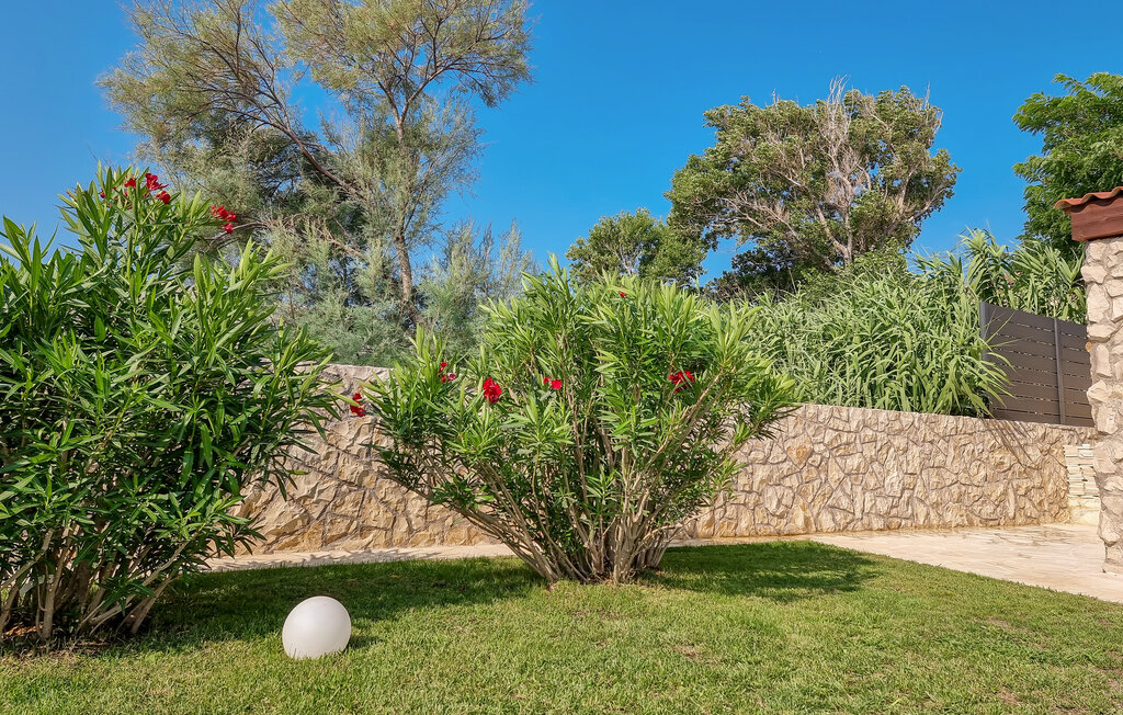 Feriehuse - Pag , Kroatien - CKP955 16