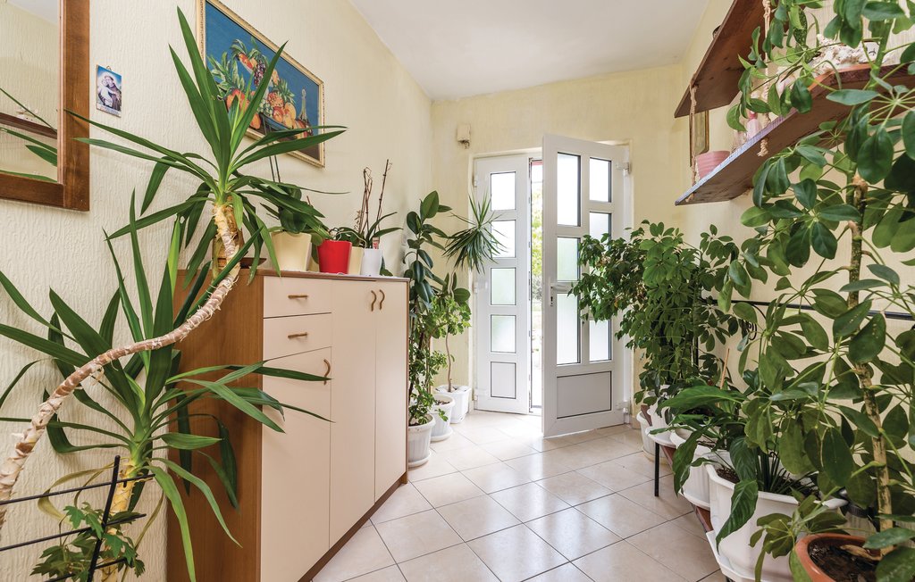 Feriehus - Rab-Kampor , Kroatia - CKR581 21