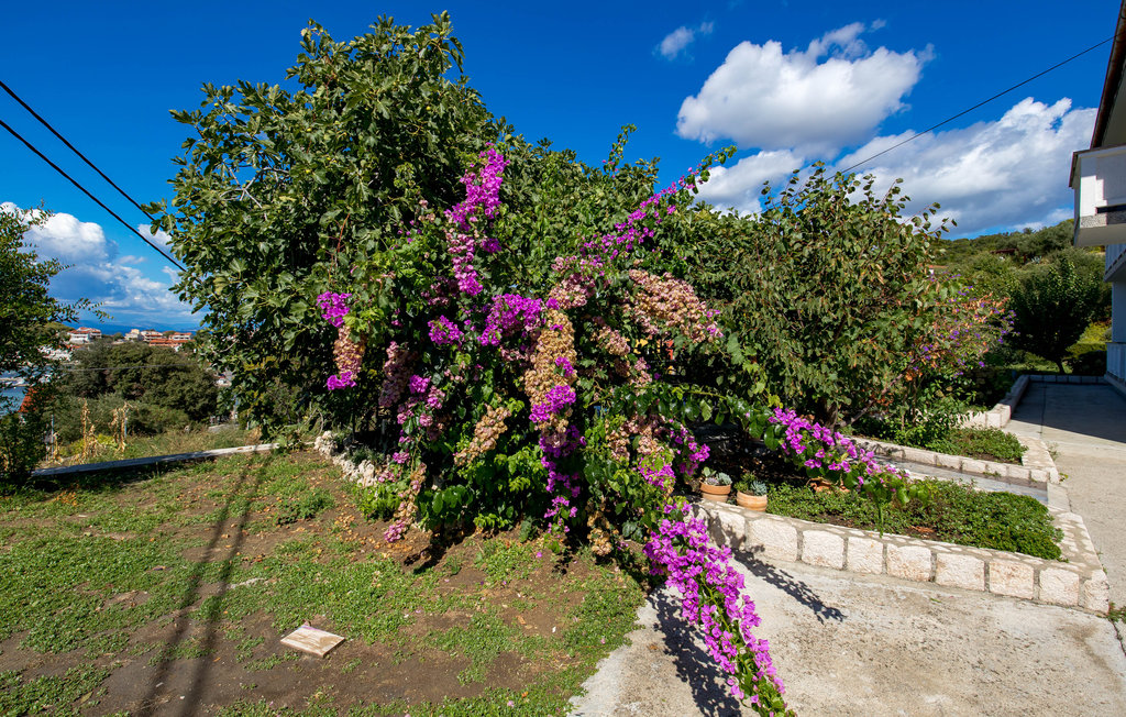 Ferienwohnung - Rab - Kampor , Kroatien - CKR729 17