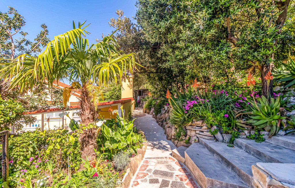 Feriehuse - Rab-Banjol , Kroatien - CKR626 20