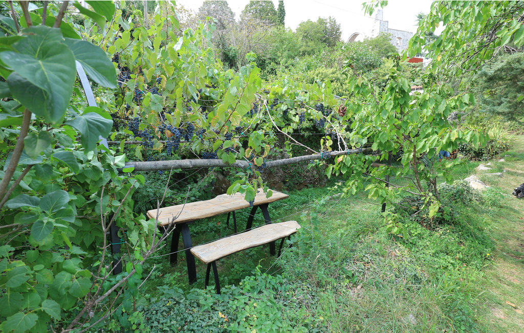 Lejlighed - Opatija-Kastav , Kroatien - CKU133 9