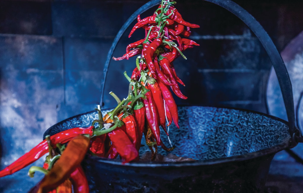 Feriehuse - Senj-Stinica , Kroatien - CKV471 36