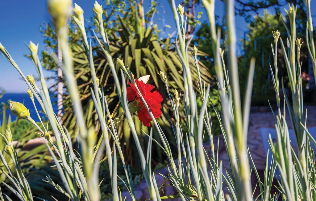 Lejlighed - Senj , Kroatien - CKV511 11