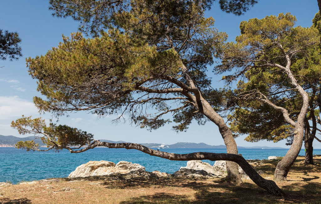 Feriehuse - Zadar , Kroatien - CLD019 18