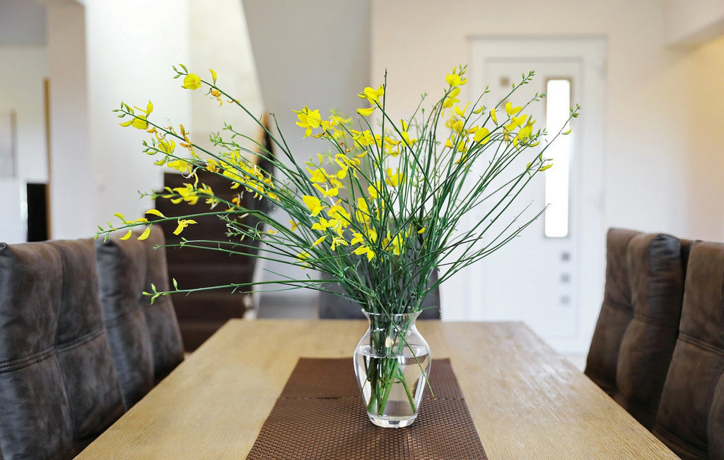 Feriehuse - Zaton-Zadar , Kroatien - CLD075 22