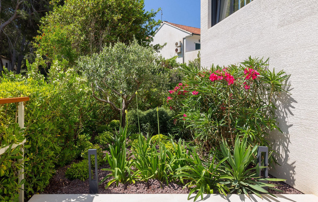 Ferienhaus - Brac-Sutivan , Kroatien - CLD245 20